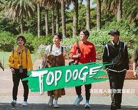 91小黄车《TOP DOG》免费在线观看