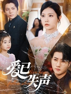 91影视《爱已失声》免费在线观看