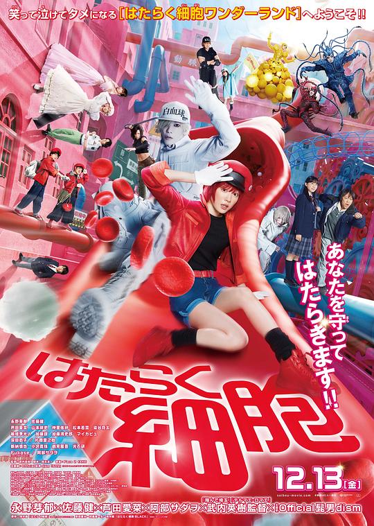 91射区《工作细胞 真人版 はたらく細胞》免费在线观看
