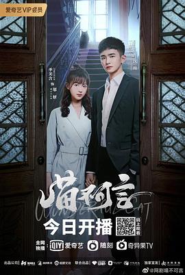 91影视《喵不可言》免费在线观看