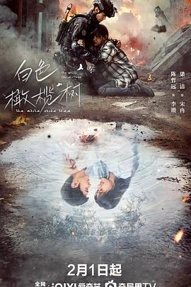 91影视《白色橄榄树》免费在线观看