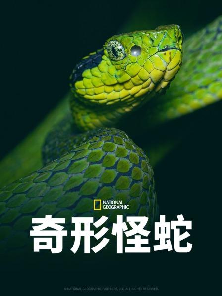 91影视《奇形怪蛇》免费在线观看
